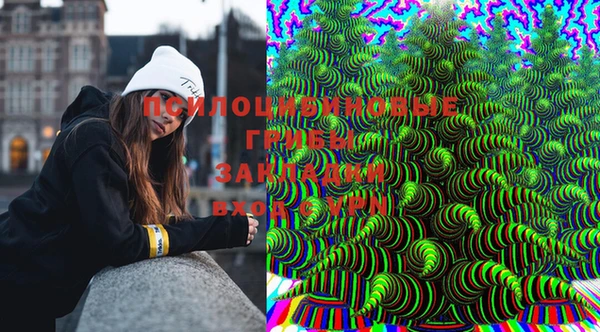 тгк Алзамай