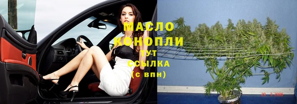 тгк Алзамай