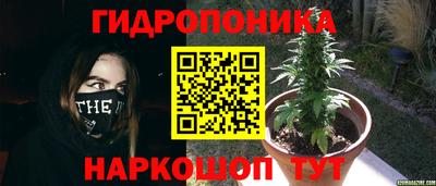 ALPHA-PVP Анапа