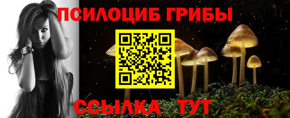 Псилоцибиновые грибы мухоморы  Вход с VPN  Прохладный 